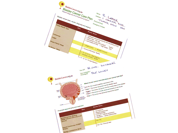 Bladder Cancer Care Plan - Free download