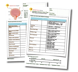 Care Plan Printable version