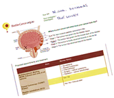 Bladder Cancer Care Plan